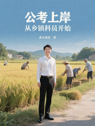 公考上岸，从乡镇科员开始 封面