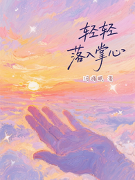 轻轻落入掌心 封面