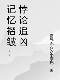 记忆褶皱：悖论追凶 封面
