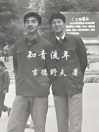 知青流年 封面