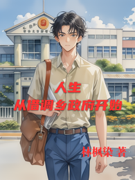 人生从借调乡政府开始 封面