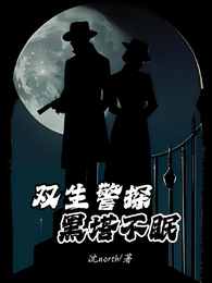双生警探：黑塔不眠 封面