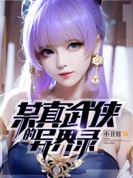 某真武侠的异界录 封面