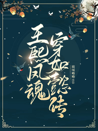 王熙凤魂穿如懿传 封面