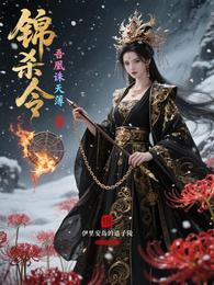锦杀令：吾凰诛天簿 封面