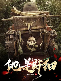 他是奸细 封面