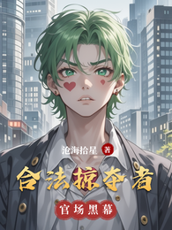 合法掠夺者 封面