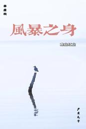 风暴之身 封面