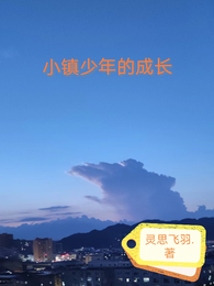 小镇少年的成长 封面