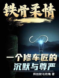 铁骨柔情：一个修车匠的沉默与尊 封面