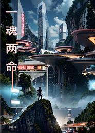 一魂两命 封面