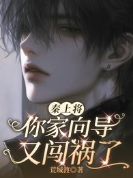 秦上将，你家向导又闯祸了 封面