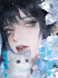 震惊！是小猫神豪 封面