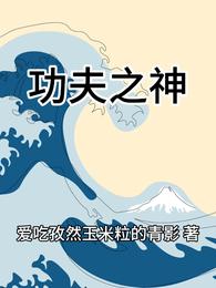 功夫之神 封面