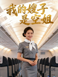 我的嫂子是空姐 封面