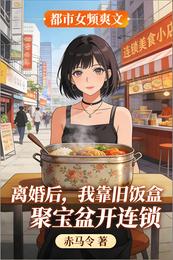 离婚后，我靠旧饭盒聚宝盆开连锁 封面