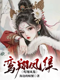 鸾翔凤集 封面