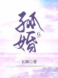 孤婚 封面