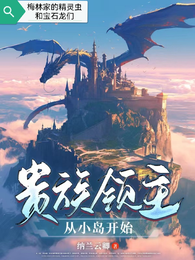 梅林家的精灵虫和宝石龙们 封面