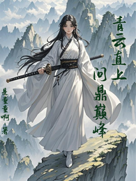 青云直上,问鼎巅峰 封面