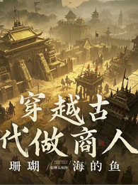 穿越古代做商人 封面