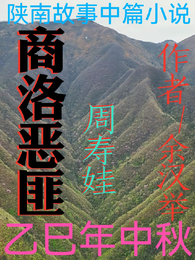 商洛恶匪周寿娃 封面