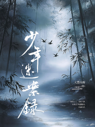 少年迷案录 封面