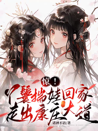 惊！丫鬟揣娃回家，走出康庄大道 封面