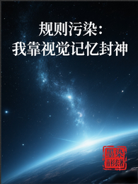 规则污染：我靠视觉记忆封神 封面