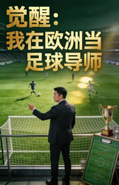 觉醒：我在欧洲当足球导师 封面