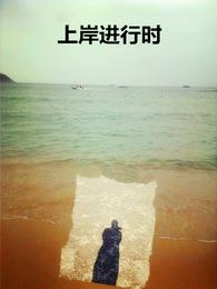 上岸进行时 封面