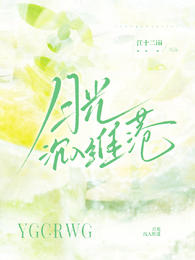 月光沉入维港 封面