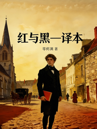 红与黑译本 封面