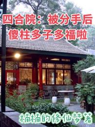 四合院:被分手后傻柱多子多福啦 封面