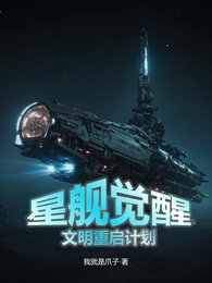 星舰觉醒：文明重启计划 封面