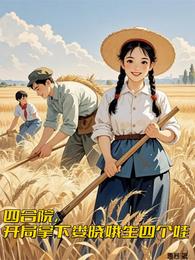 四合院，开局拿下娄晓娥生四个娃 封面