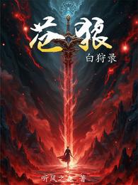 苍狼白狩录 封面