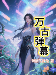万古弹幕 封面