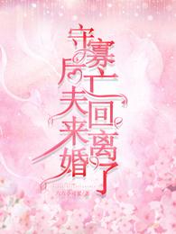 守寡后,亡夫回来离婚了 封面