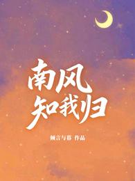 南风知我归意 封面