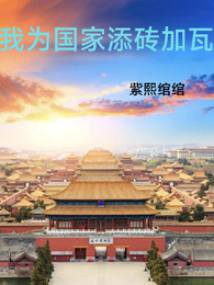 我为国家添砖加瓦 封面