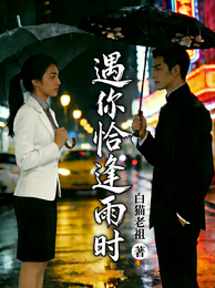 遇你恰逢雨时 封面