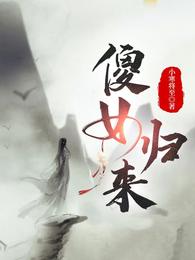 傻女归来 封面