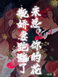 宋总,你的花瓶娇妻跑路了 封面