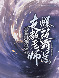 被暴雨冲走后，支教老师爆改霸总 封面