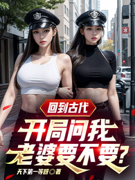 回到古代:开局问我老婆要不要? 封面
