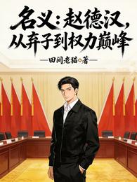 名义：赵德汉，从弃子到全力巅峰 封面