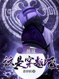 侠岚，这是穿越吧 封面