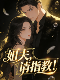 姐夫，请指教！ 封面