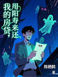 我的房贷，用阳寿来还 封面